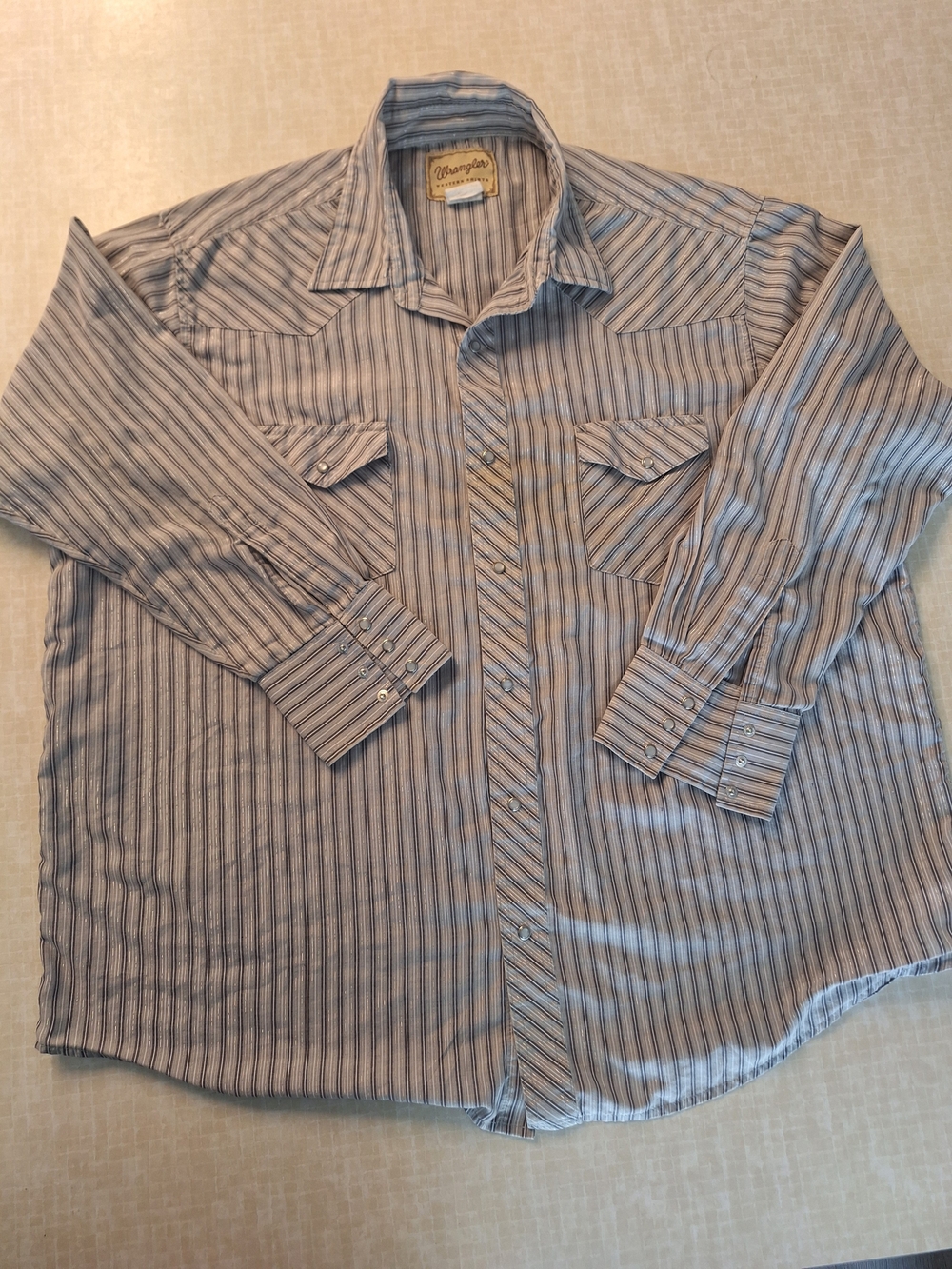 Wrangler Men’s Striped Button-Down Shirt in Blue and White